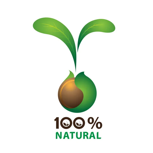 Eco Bio Natural Fresh Organic Food Elements Vector Illustration — Stockvektor