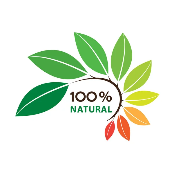 Nature Leaf Logo Design Templateon Белый Фон Векторная Иллюстрация — стоковый вектор