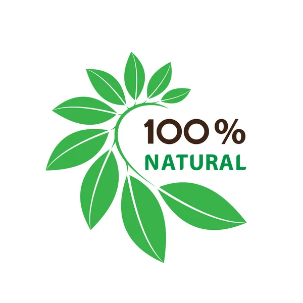 Nature Leaf Logo Design Templateon Белый Фон Векторная Иллюстрация — стоковый вектор