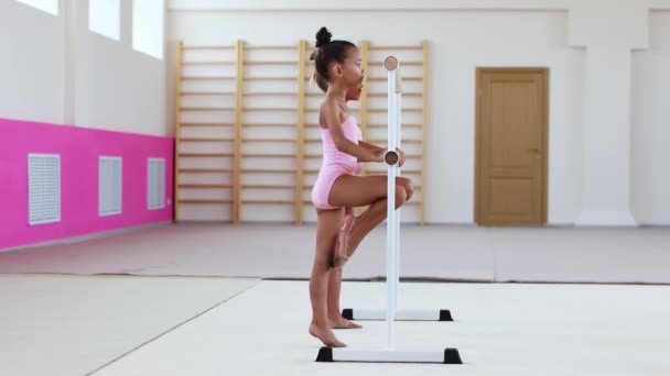 两个体操小女生在扶手旁的芭蕾舞演播室里热身 — 图库视频影像
