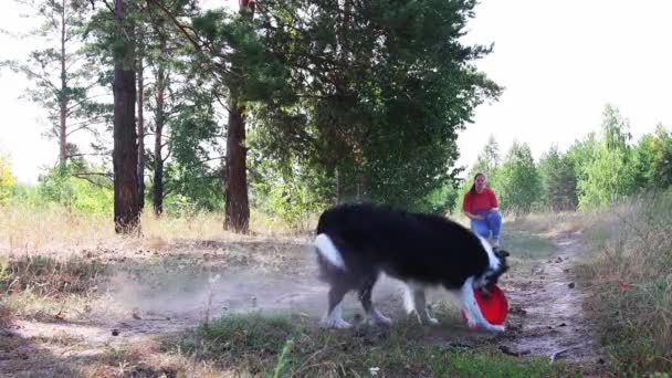 若いです女性投げA赤プラスチックディスクのために彼女の犬にキャッチ — ストック動画