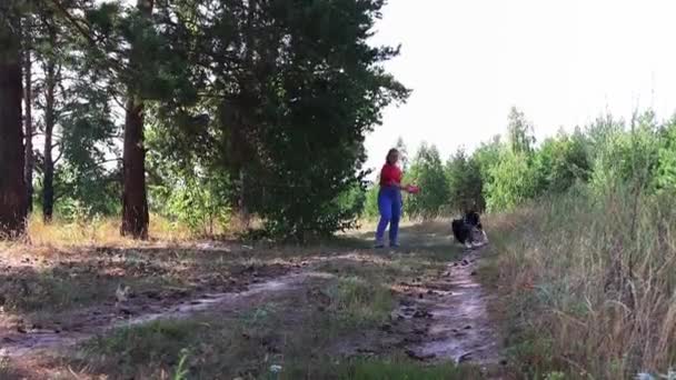 Wanita gemuk muda melemparkan disk plastik merah untuk anjingnya untuk menangkap dan membawanya kembali — Stok Video