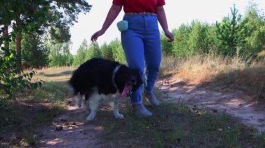 Genç kadın ve onun iyi eğitilmiş sadık köpeği etrafında koşuşturuyor.
