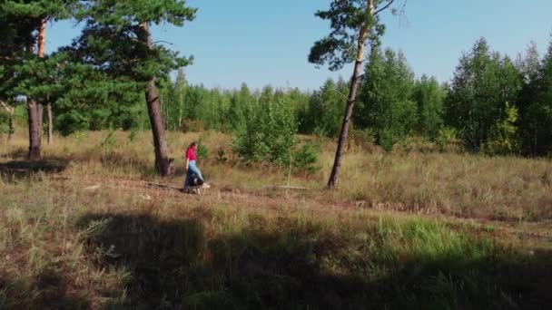 Wanita gemuk muda dan anjing lucu terlatih nya bermain bersama-sama di tepi hutan pandangan udara — Stok Video