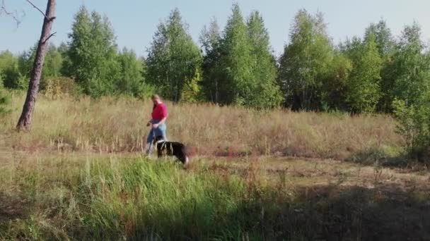 若い女性と彼女のかわいいよく訓練された犬が森の端で一緒に歩く-空撮 — ストック動画
