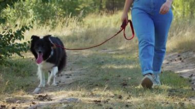 Genç, tombul bir kadın tasmalı köpeğiyle yürüyor.