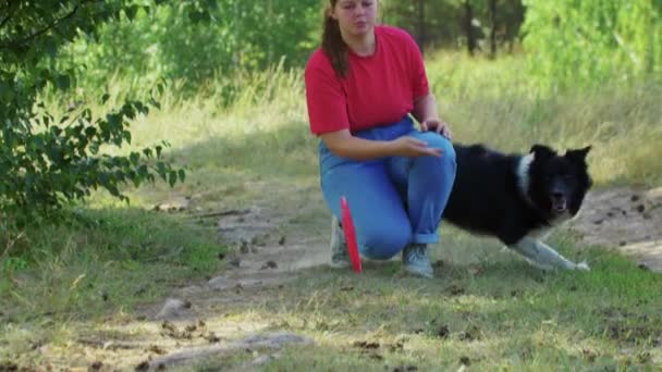 Młoda pulchna kobieta rzuca dysk dla swojego psa do złapania — Wideo stockowe