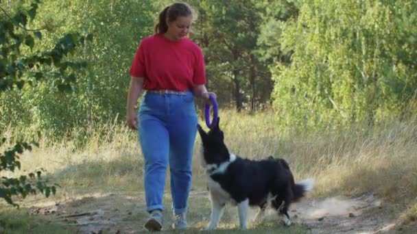 Wanita gemuk muda berjalan dengan anjingnya di luar ruangan - anjing berusaha meraih mainan di tangannya — Stok Video