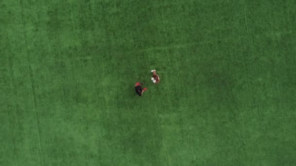 Jovem em um treinamento de boxe em um gramado verde do campo de futebol com seu treinador masculino soco nas luvas — Vídeo de Stock