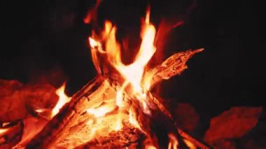 Ormanda Güzel Şenlik Ateşi