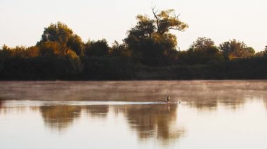 Günbatımının erken saatlerinde gölün ortasında dalda duran yalnız bir kuş.