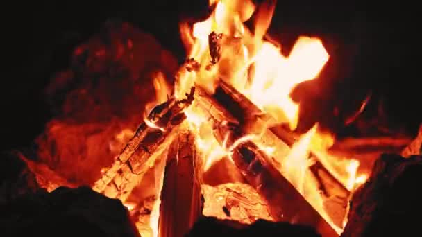 Alev alev yanan bir ağaç, güzel bir ateş... — Stok video