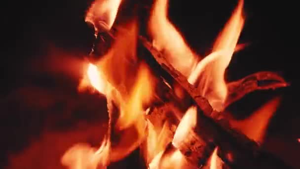Güzel şenlik ateşinde yanan ağaç — Stok video