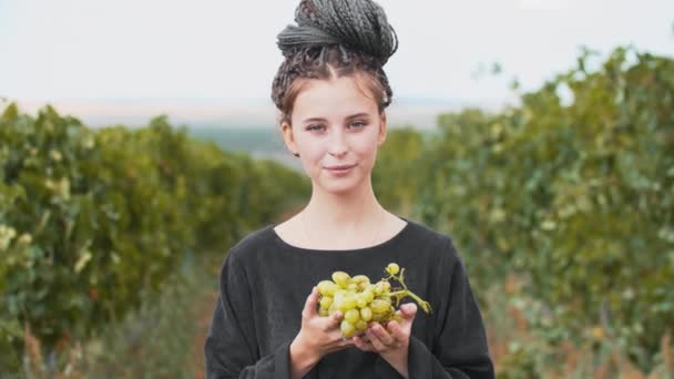 Giovane donna con dreadlocks azienda uva in vigna — Video Stock