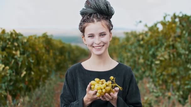 Młoda śmiejąca się kobieta z dredami trzymająca winogrona w winnicy — Wideo stockowe