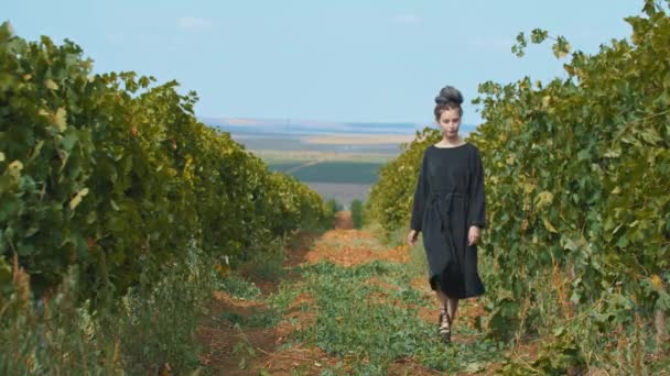 Молода жінка з дредлоками, що йдуть по шляху серед винограднику — стокове відео