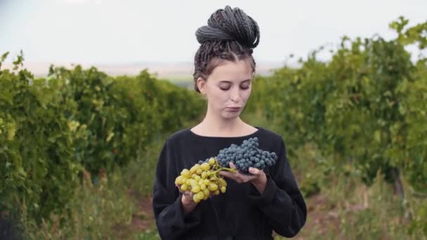 Jovem com dreadlocks mordendo uvas pretas de suas mãos em pé na vinha — Vídeo de Stock