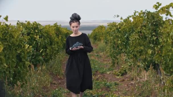 Jovem mulher sorridente com dreadlocks segurando uvas pretas na vinha — Vídeo de Stock