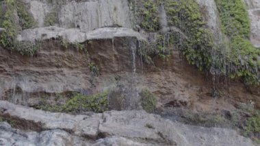 Kayalık yosunlu dağdan su akıntıları düşüyor.