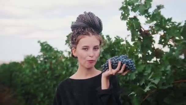 Молода жінка з дредлоками стоїть в винограднику і їсть чорний виноград дивлячись в камеру — стокове відео