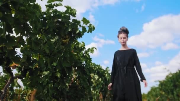 Mujer joven con rastas caminando en el viñedo - rasga las uvas blancas — Vídeo de stock