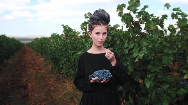 Jovem com dreadlocks vestindo vestido preto e em pé na vinha comendo uvas pretas frescas e olhando para a câmera — Vídeo de Stock