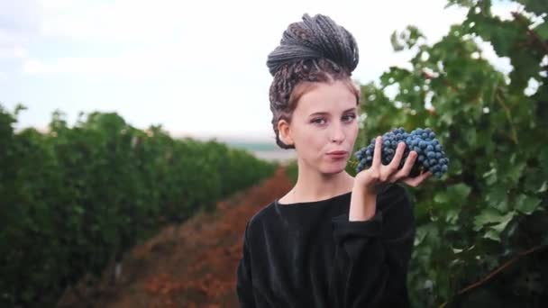 Jovem mulher sorridente com dreadlocks vestindo vestido preto e em pé na vinha comendo uvas pretas frescas e olhando para a câmera — Vídeo de Stock