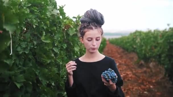 Joven mujer bonita con rastas caminando en el viñedo y comiendo uvas negras en el clima malhumorado — Vídeo de stock