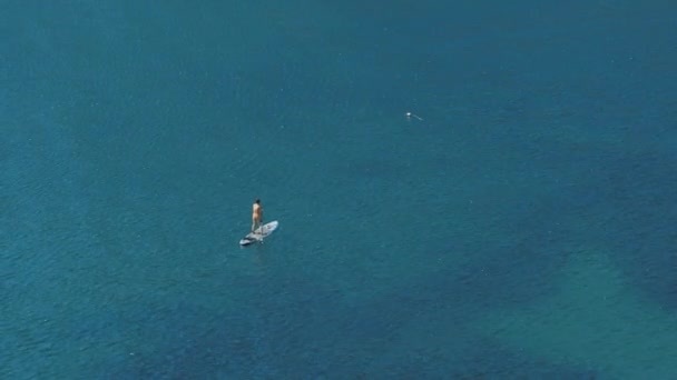A lonely woman sailing in the sea on the surfboard — Stock Video