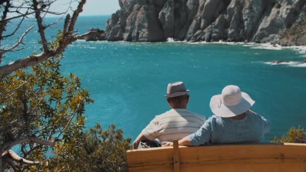 Et gammelt par sitter på en benk og ser på havbukta. – stockvideo
