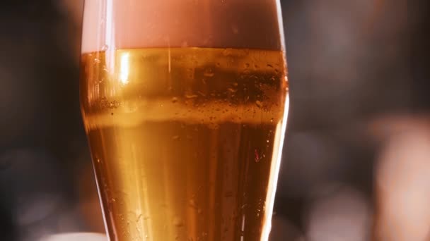 Droppar vatten glider ner från glaset av draft beer — Stockvideo