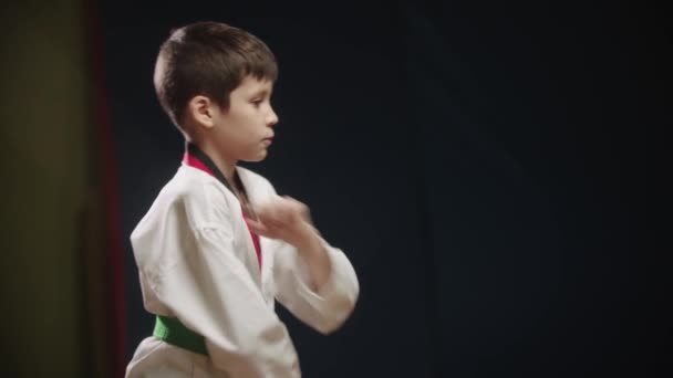 En liten pojke gör taekwondo - visar ett drag med armen — Stockvideo