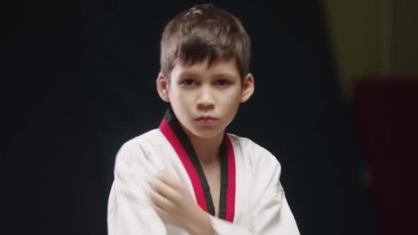 A little boy doing martial arts moves — Stock Video