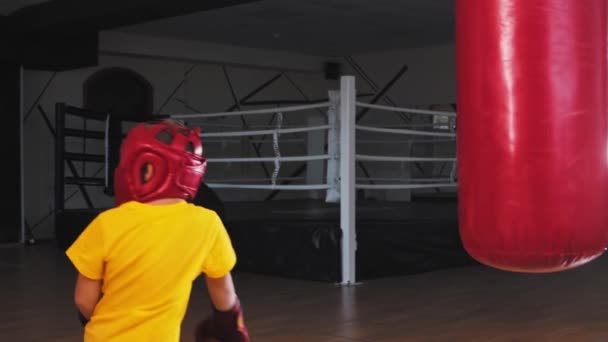 Liten pojke i skyddshjälm sparkar boxningssäcken från svängen och slår den med handskarna — Stockvideo