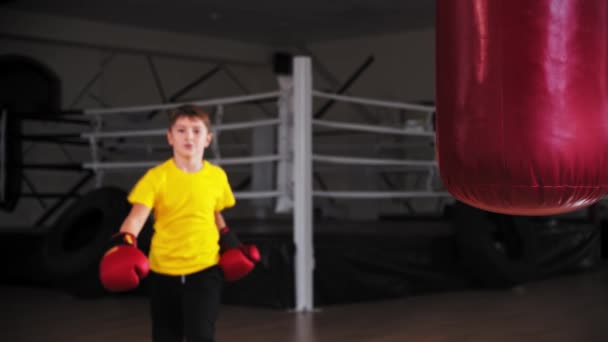 Kleine grappige jongen in bokshandschoenen rommelen en gek — Stockvideo