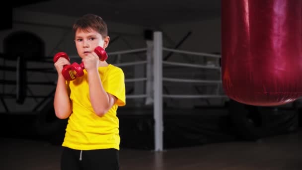 Een kleine jongen boksen met kleine halters in zijn handen — Stockvideo