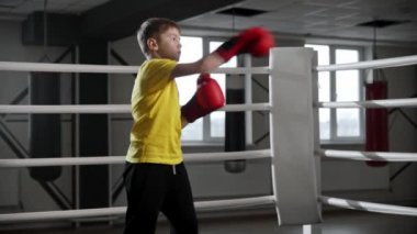 Boks eldivenli küçük çocuk boks ringinde havayı tekmeliyor sonra kameraya bakıyor.