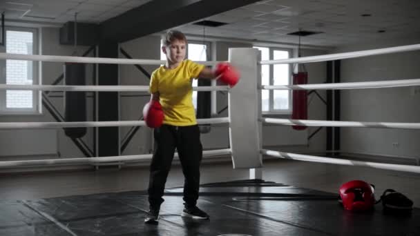 Niño con guantes de boxeo pateando el aire en el anillo de boxeo y luego mira en la cámara — Vídeos de Stock