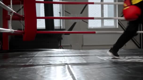 Niño en guantes de boxeo y casco suave cae sobre el anillo — Vídeos de Stock