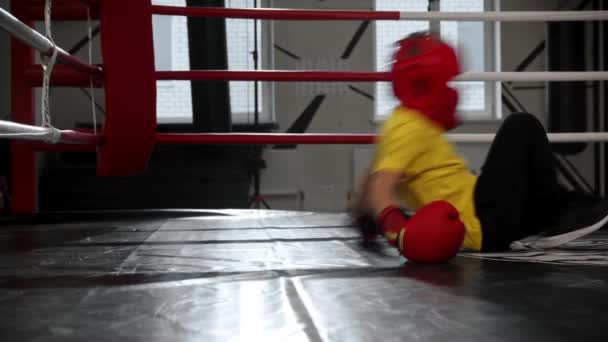 Niño con guantes de boxeo cae en el ring y se desmaya — Vídeos de Stock