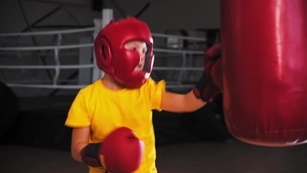 Pequeño boxeador niño golpeando un gran saco de boxeo en el entrenamiento y cae sobre él — Vídeos de Stock