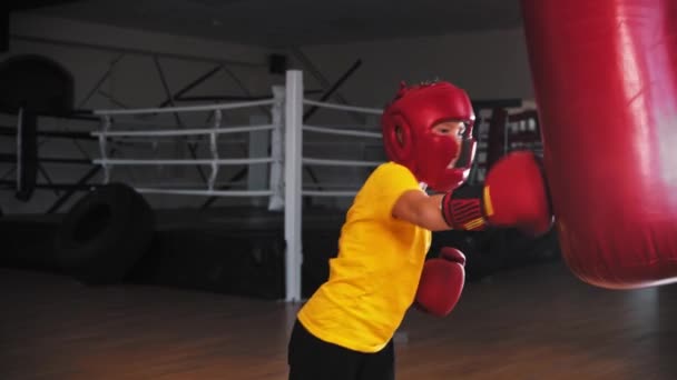 Malý chlapec boxer udeří velký boxovací pytel při tréninku pak padá na něj a dívá se do kamery — Stock video