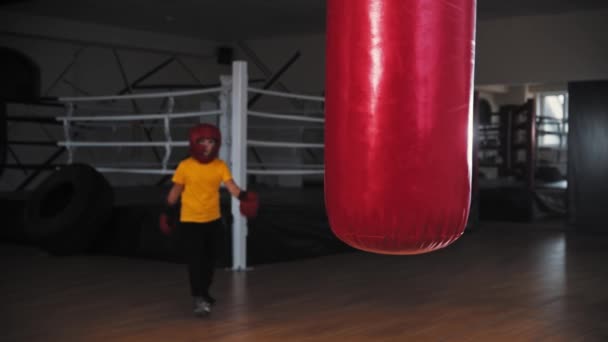 Liten pojke boxare går till en slagsäck och börjar slå den — Stockvideo