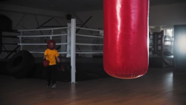 Mały bokser idzie do worka treningowego i stoi przed nim na pozycji. — Wideo stockowe