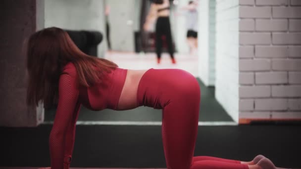 Молода красива жінка в червоному спортивному костюмі займається спортом у спортзалі стоїть на колінах і згинає спину — стокове відео