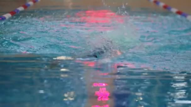 Молодий чоловік в плавальних окулярах тренування в басейні — стокове відео