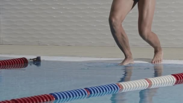 Joven deportista nadador bucea en el agua de una piscina de entrenamiento — Vídeos de Stock