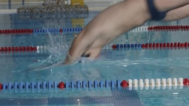 Joven nadador bucea en el agua de una piscina de entrenamiento en el interior — Vídeos de Stock