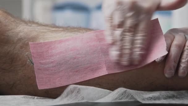 Voksning procedure - føreren ved hjælp af strimler til hårfjerning hår af benet af hendes mandlige klient – Stock-video