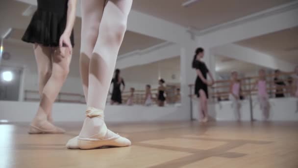 Εκπαίδευση μπαλέτου - ομάδα μικρών κοριτσιών που εκπαιδεύουν μπαλέτο στο στούντιο καθρέφτη — Αρχείο Βίντεο